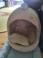 개과천선 겨울용 카소 동글이하우스 아이보리