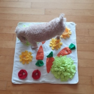 딩동펫 반려동물 스니핑 당근 노즈워크 매트