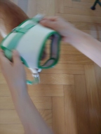 하울고 베이직 웨어 하네스 그린