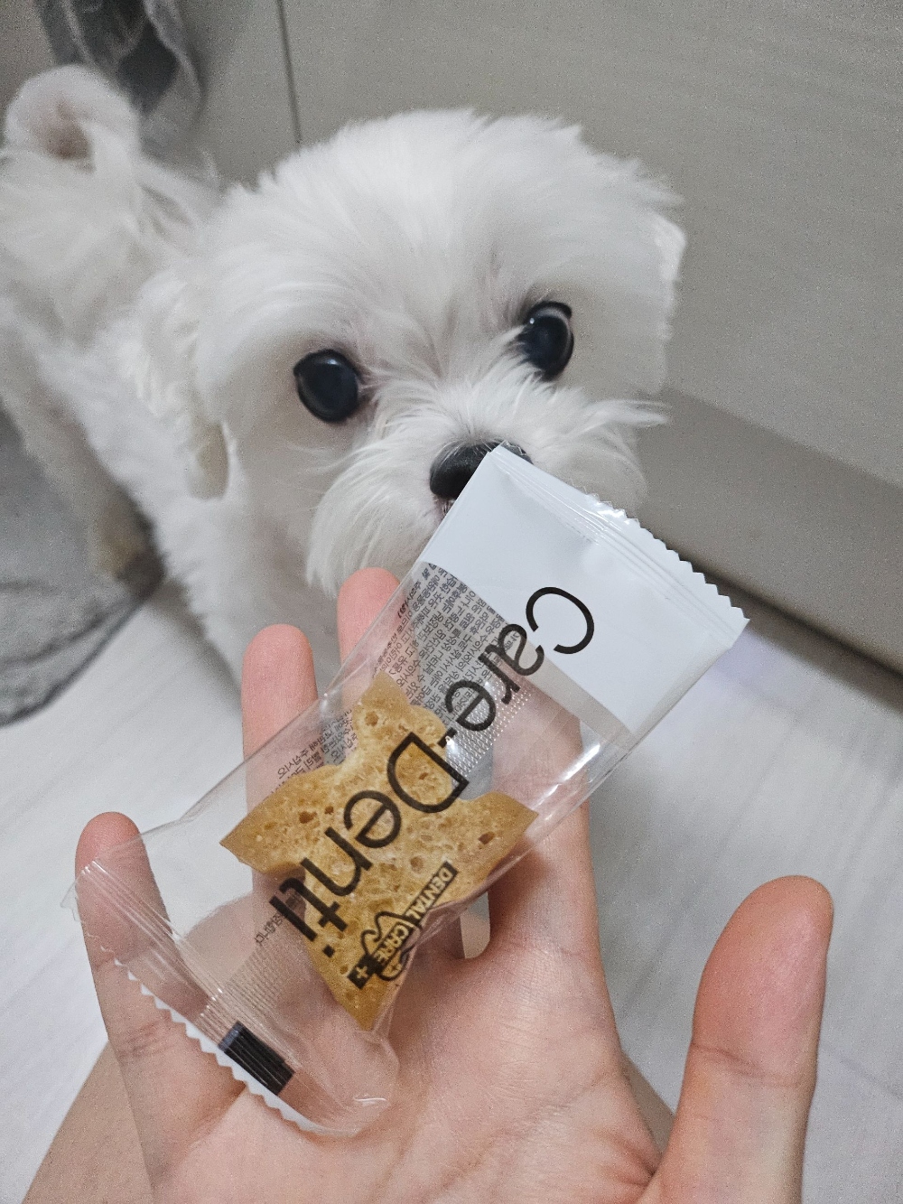 적당히 딱 좋음