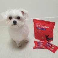펫생각 하루치카 버블츄 덴탈껌 소형 21개입
