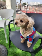 키니키니 KINI DIAMOND PATTERN CARDIGAN-RED(가디건)