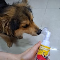 페스룸 제로 워터리스 샴푸