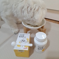 리브펫 유산균